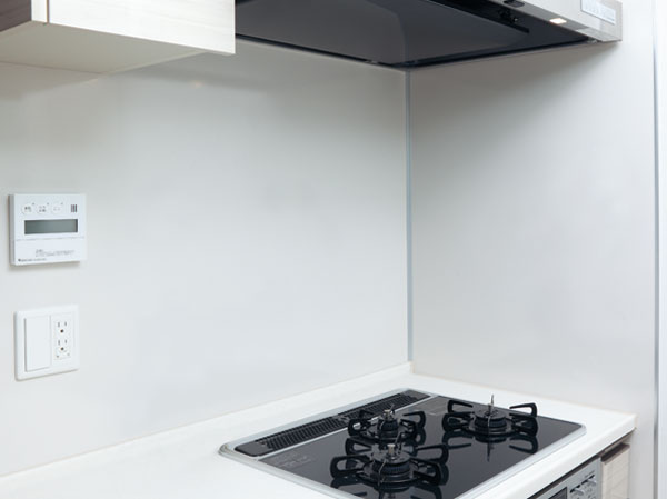 Kitchen.  [Enamel kitchen panel] The surface is likely to fall is dirt in the vitreous, The ease of care is the Features.