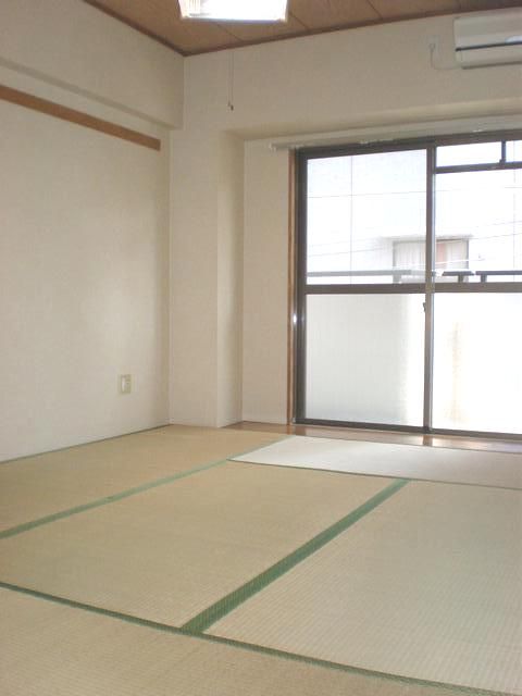 Living and room. Sunny Japanese-style