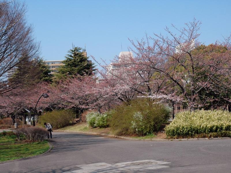 park. Sarue large park that was well-development of 640m Sumiyoshi station close to his mentor park