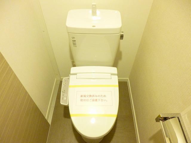 Toilet. Washlet toilet.