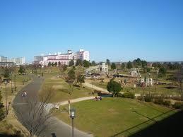 Streets around. Enhancement of the surrounding environment  ~ Oshima Komatsugawa park ~