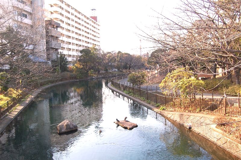 park. 80m to Sendai Horikawa park (park)