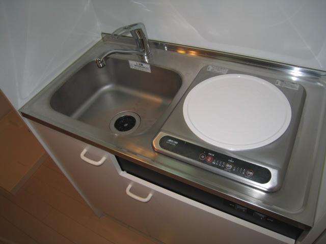 Kitchen. 1-neck IH stove