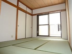 Living and room. South-facing bright Japanese-style room
