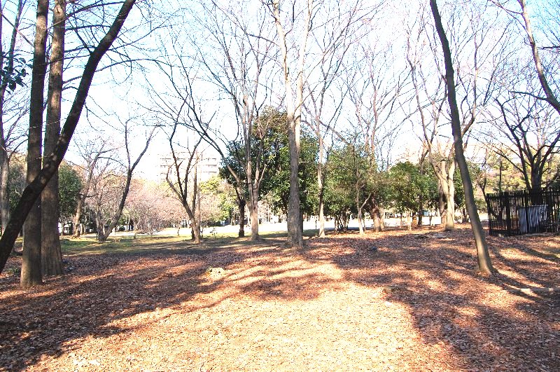 park. 650m until a clear park (park)