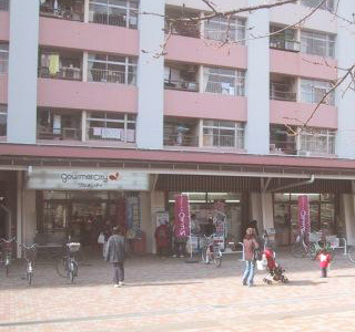 Shopping centre. Gourmet City Oshima housing complex shop until (shopping center) 256m