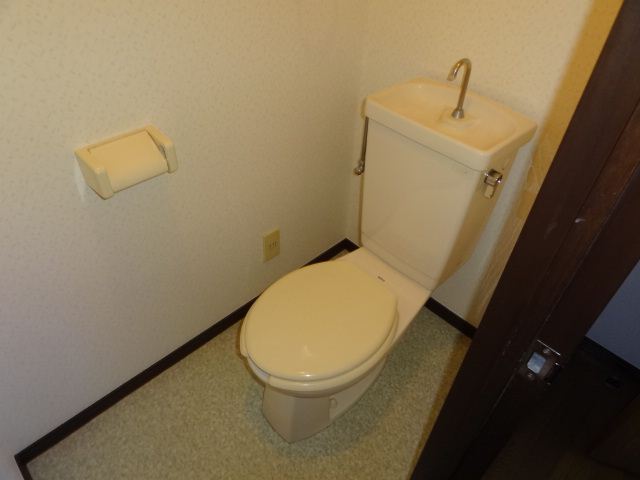 Toilet. Western-style toilet