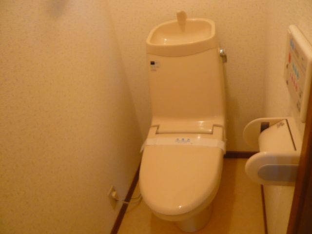 Toilet. Toilet