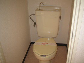 Toilet. Toilet