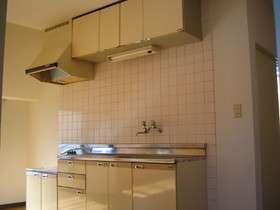 Kitchen. Two-necked gas stove can be installed in the kitchen