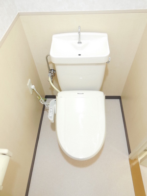 Toilet. With Washlet