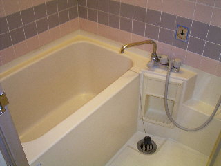 Bath. It is a hot-water supply type