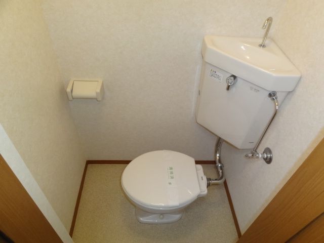 Toilet. Western-style toilet