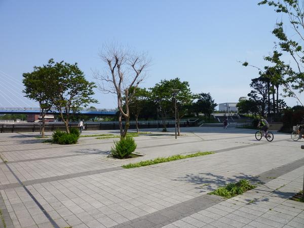 Other local. Waterfront park