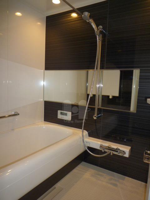 Bathroom. Pretty bathroom spacious size dark color of the panel is to accent. It is with a ventilation drying heating function.