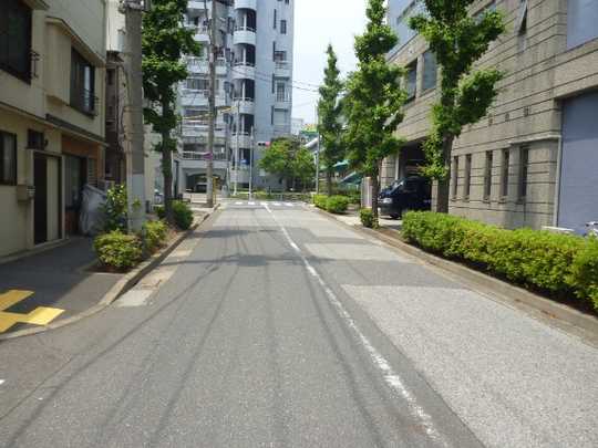 Local land photo. Northeast side road