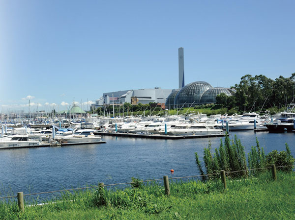 Surrounding environment. Tokyo Dream Island Marina (about 3900m, Bicycle about 20 minutes)