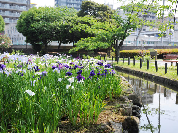 Surrounding environment. Horizontal Jitsuken River Water Park (about 1520m, Bicycle about 8 minutes)