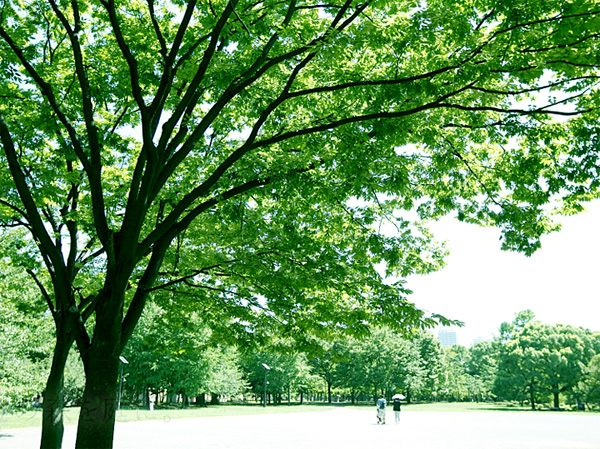 Surrounding environment. Fining park (about 260m ・ 4-minute walk)