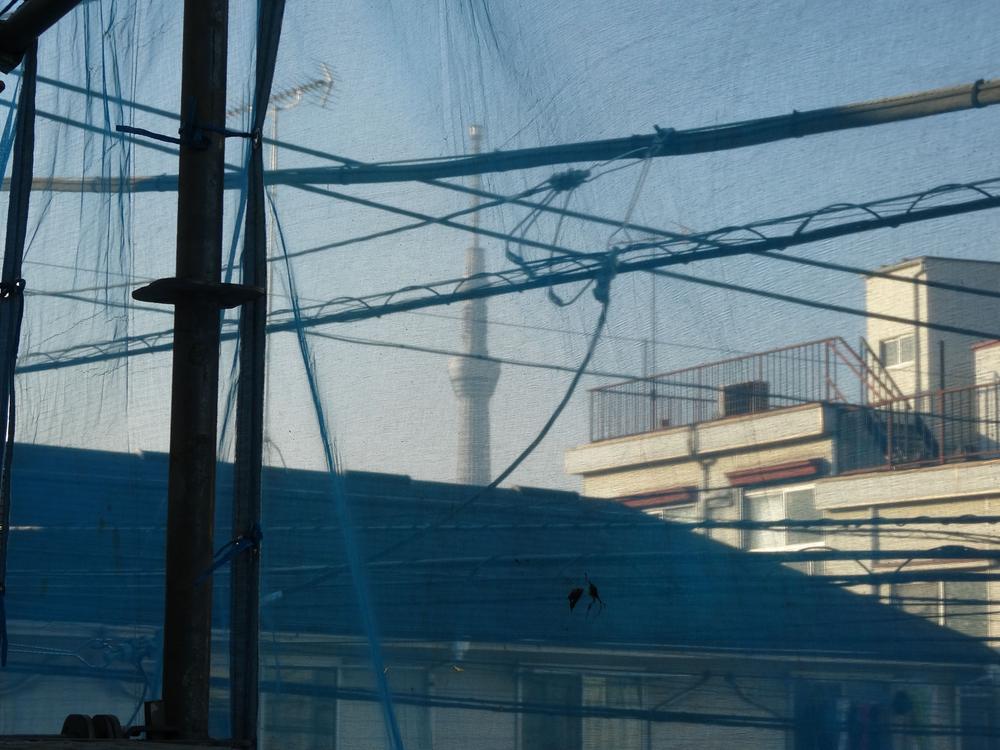 View photos from the dwelling unit. View from the site (December 2013) Shooting Direction of the Tokyo Sky Tree from the second floor balcony