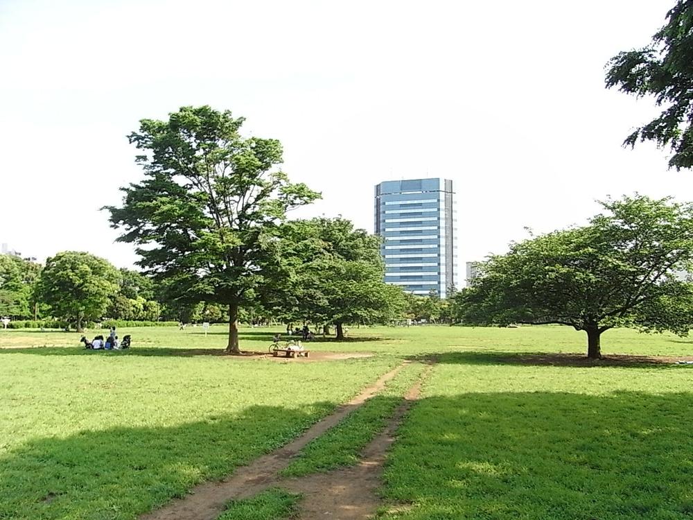 Other. Metropolitan Kiba Park