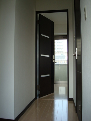 Living and room. Entrance