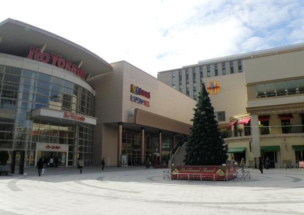 Shopping centre. 916m shopping until the Shenzhen Gyazaria, Leisure and complete large-scale commercial facilities