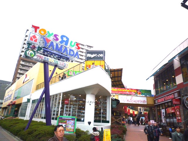 Home center. Yamada Denki Tecc Land Kameido store up (home improvement) 219m