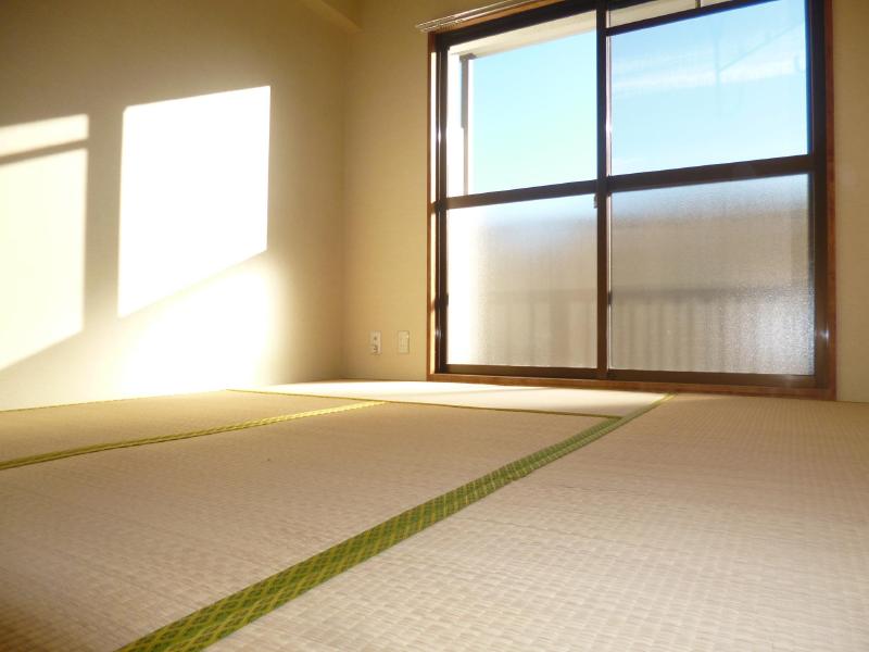 Other room space. Japanese style room