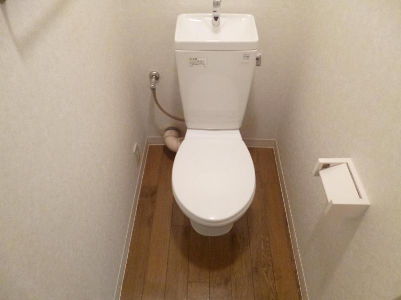 Toilet