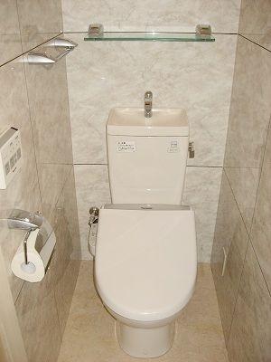 Toilet