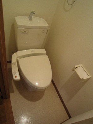 Toilet. Warm water washing toilet seat