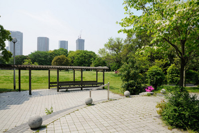 park. Shinonome 246m until the green road park (park)