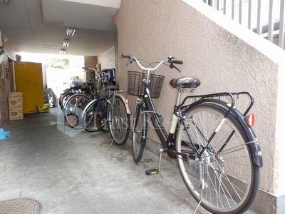 Parking lot. Bicycle-parking space