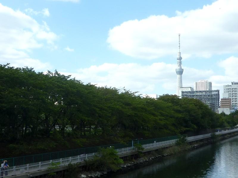 Streets around. 250m until Motomura Bridge  Green and Tokyo Sky Tree of hope from Motomura bridge over the horizontal Jitsuken River Sarue Imperial Park