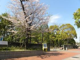 Other. Sendai Horikawa park 438m