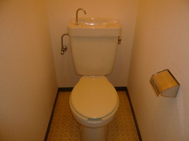 Toilet. Toilet