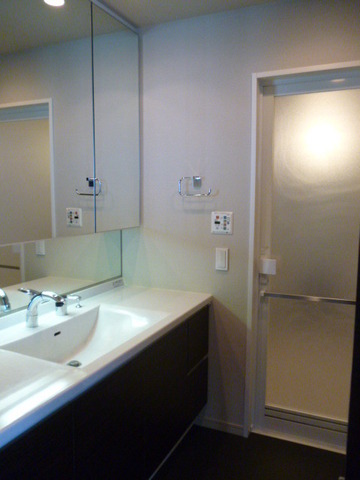 Washroom. Bathroom vanity