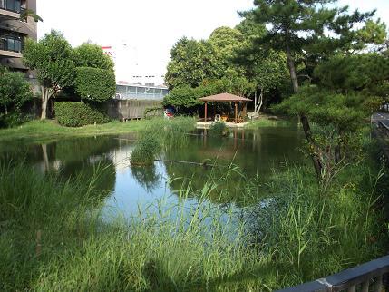 Streets around. 100m to Sendai moat park