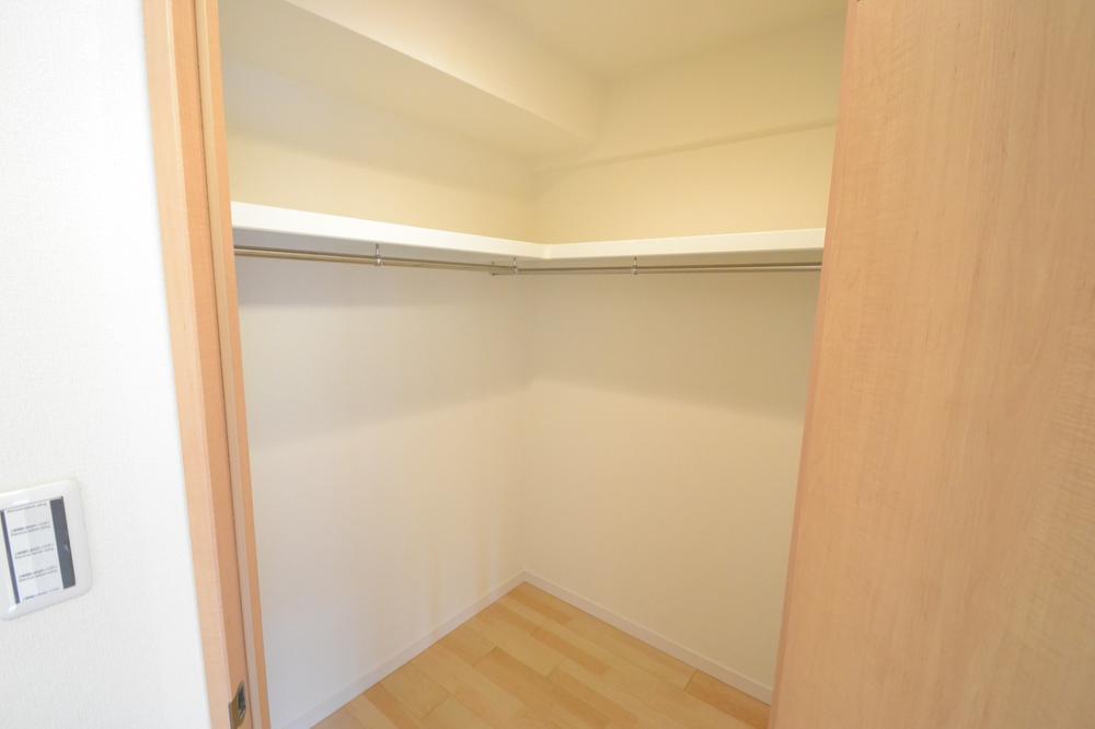 Other introspection. Walk-in closet