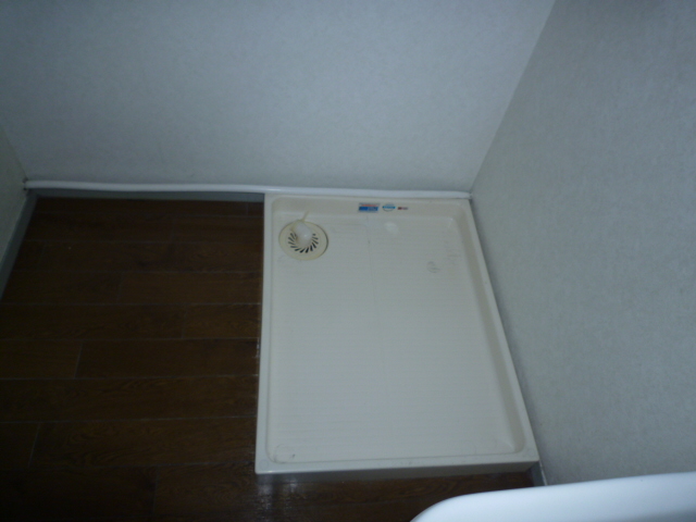 Washroom. Washing machine in the room