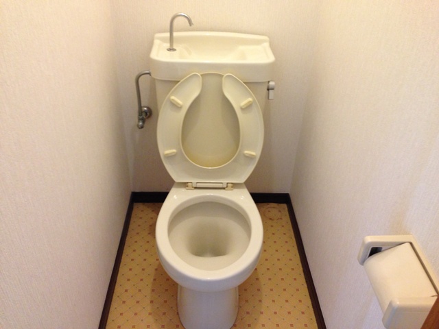 Toilet. Toilet with cleanliness