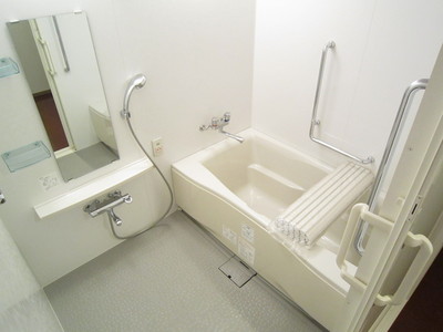 Bath. Bathroom dryer with bus