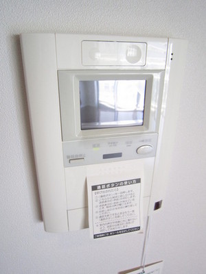 Security. Monitor with intercom