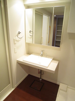 Washroom. Washbasin with shower