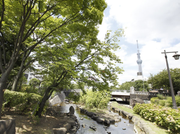 Surrounding environment. Large Yokogawa water park / About 510m ・ 7 min walk