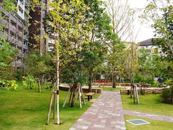 Garden.  [Tree-lined streets where you can enjoy a stroll] Guests can enjoy a pet and walk