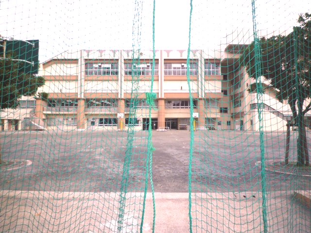 Primary school. 990m to Koto Ward first Kameido elementary school (elementary school)