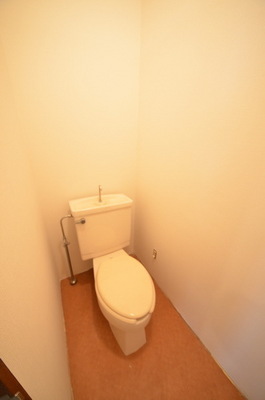 Toilet. ☆ Clean toilet ☆