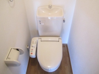 Toilet. ☆ Loose your toilet ☆